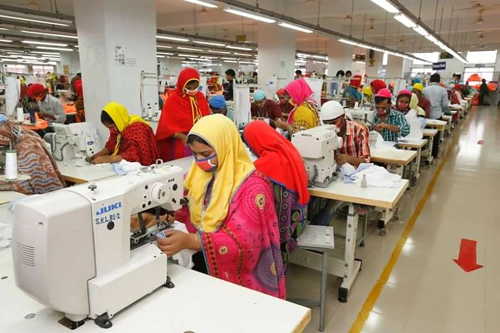 Sewing Lines